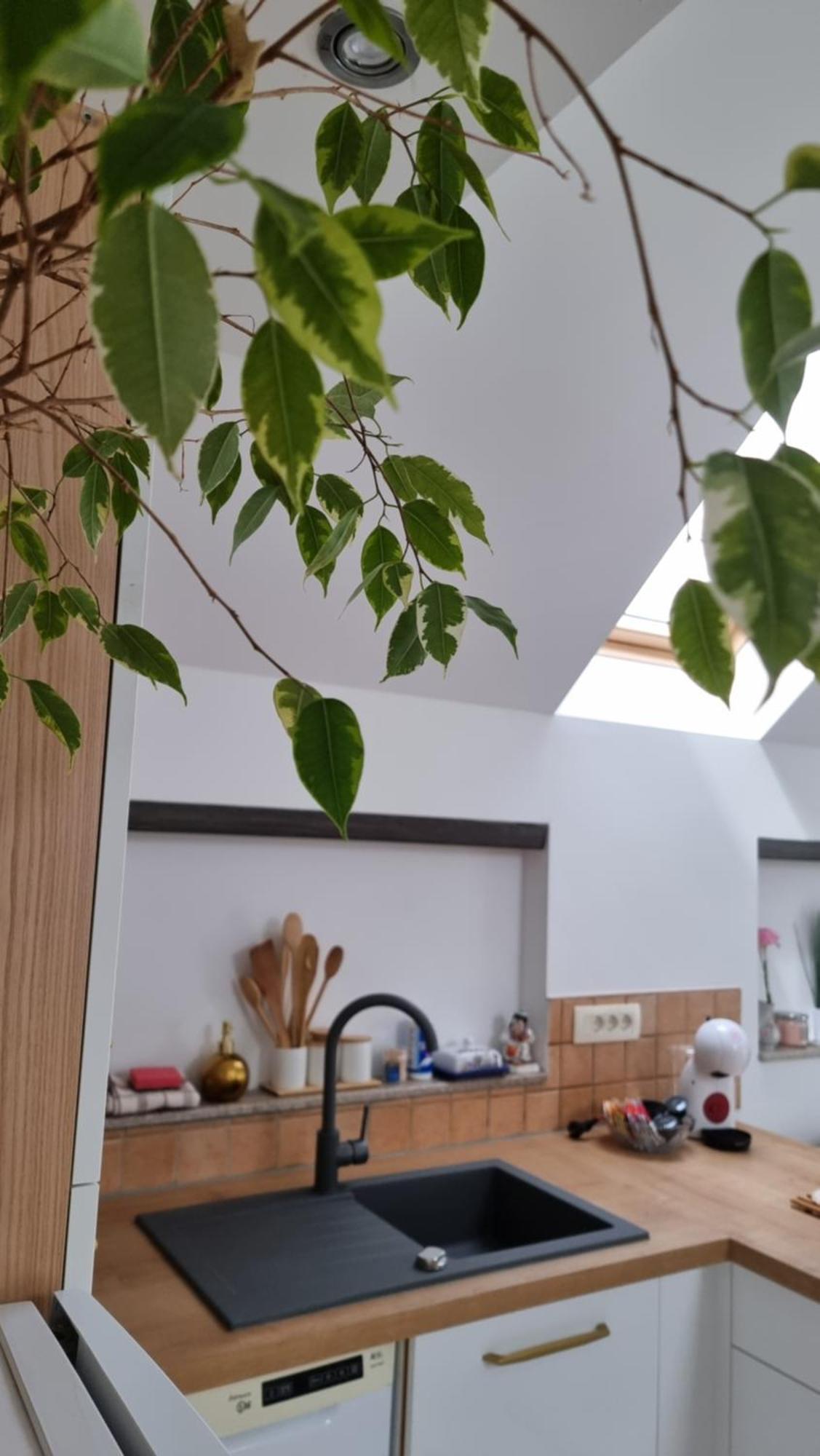 Apartma Katarina Bled Exterior foto